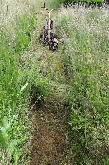 Débroussaillage professionnel à Lombez