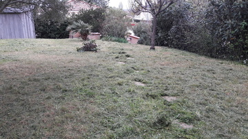 Entretien de pelouse à l'Isle-Jourdain