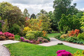Création, Conception & Aménagement de jardins | L'Isle Jourdain & alentours