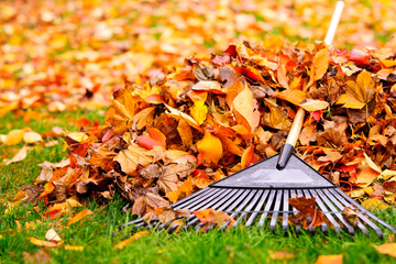 Entretien de jardins & Services annexes | L'Isle Jourdain & alentours